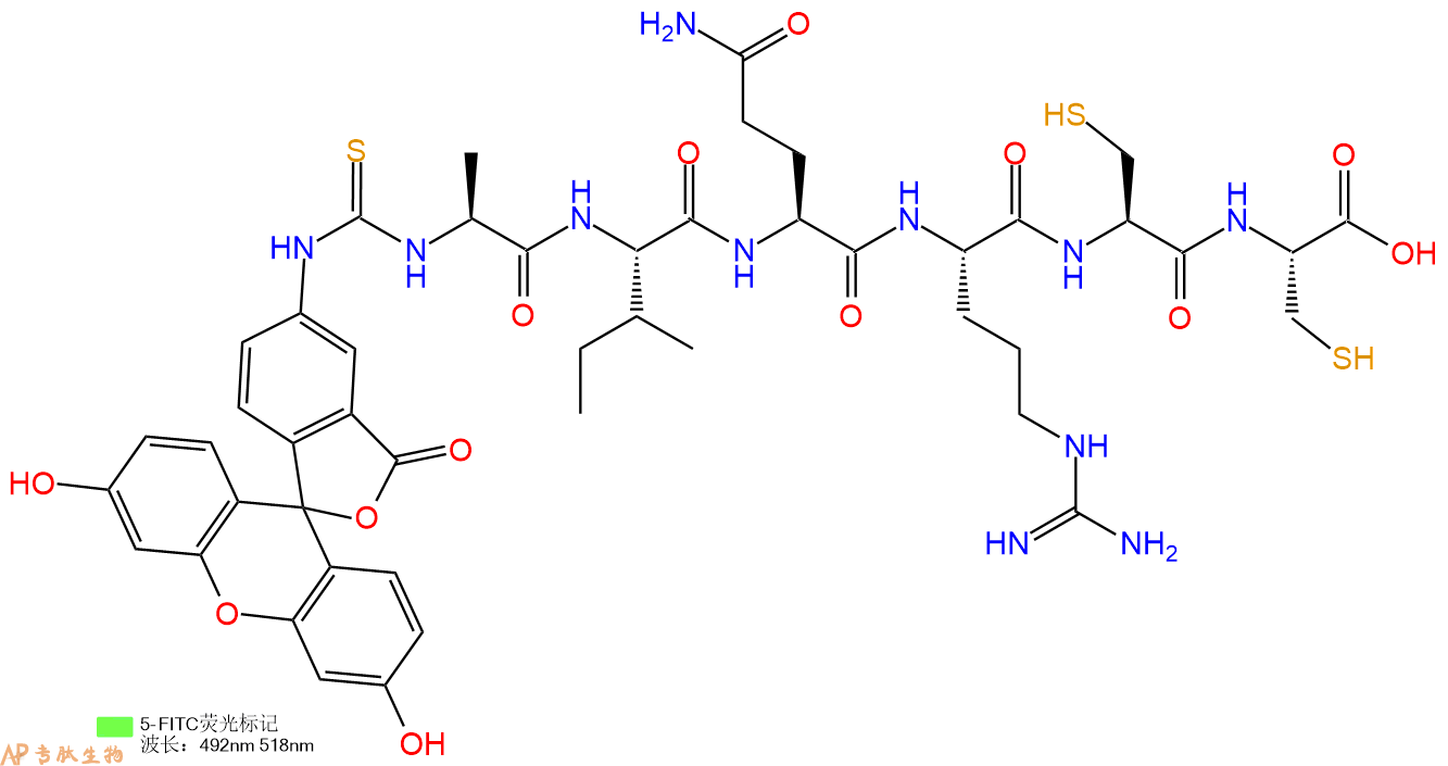 专肽生物产品5FITC-Ala-Ile-Gln-Arg-Cys-Cys-OH