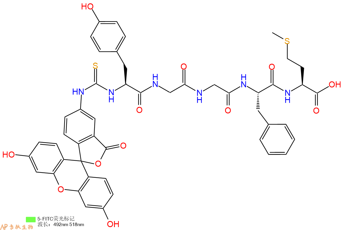 专肽生物产品5FITC-Tyr-Gly-Gly-Phe-Met-OH