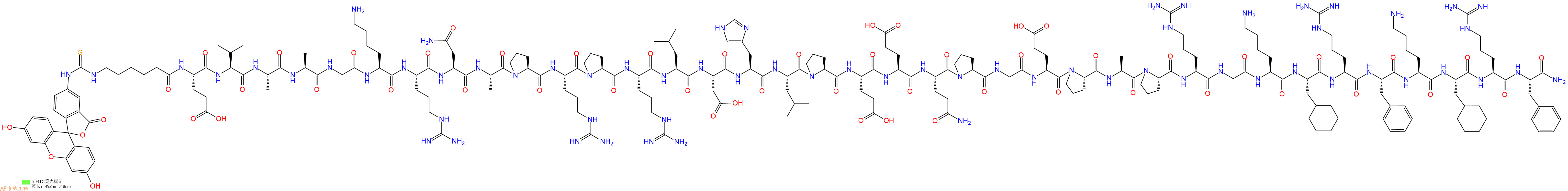 专肽生物产品5FITC-Ahx-Glu-Ile-Ala-Ala-Gly-Lys-Arg-Asn-Ala-Pro-Arg-Pro-Arg-Leu-Asp-His-Leu-Pro-Glu-Glu-Gln-Pro-Gly-Glu-Pro-Ala-Pro-Arg-Gly-Lys-Cha-Arg-Phe-Lys-Cha-Arg-Phe-NH2