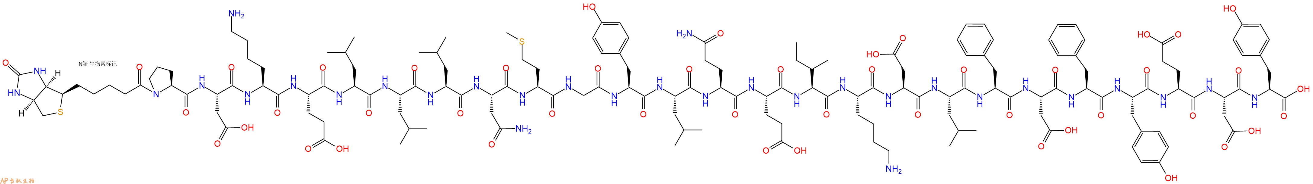 专肽生物产品Biotinyl-Pro-Asp-Lys-Glu-Leu-Leu-Leu-Asn-Met-Gly-Tyr-Leu-Gln-Glu-Ile-Lys-Asp-Leu-Phe-Asp-Phe-Tyr-Glu-Asp-Tyr-OH