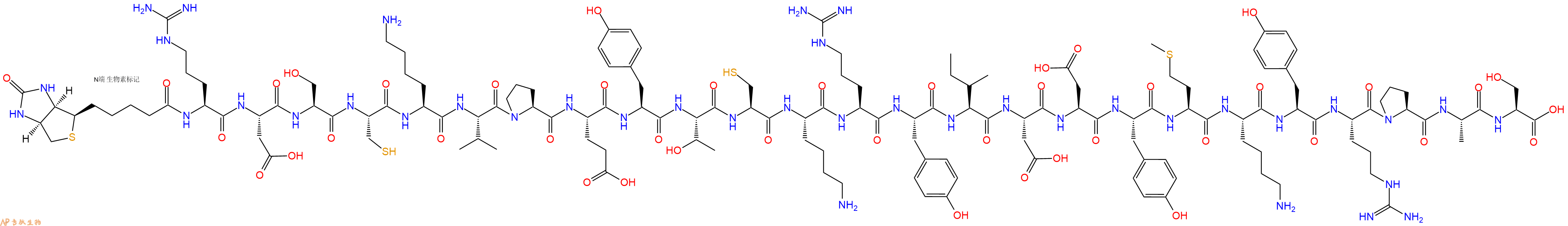 专肽生物产品Biotinyl-Arg-Asp-Ser-Cys-Lys-Val-Pro-Glu-Tyr-Thr-Cys-Lys-Arg-Tyr-Ile-Asp-Asp-Tyr-Met-Lys-Tyr-Arg-Pro-Ala-Ser-OH