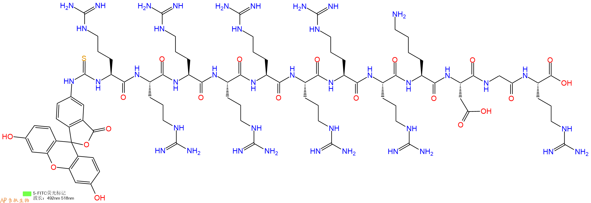 专肽生物产品5FITC-Arg-Arg-Arg-Arg-Arg-Arg-Arg-Arg-Lys-Asp-Gly-Arg-OH