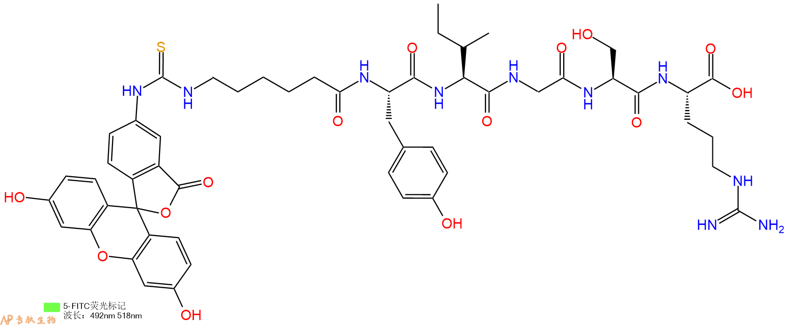 专肽生物产品5FITC-Ahx-Tyr-Ile-Gly-Ser-Arg-OH