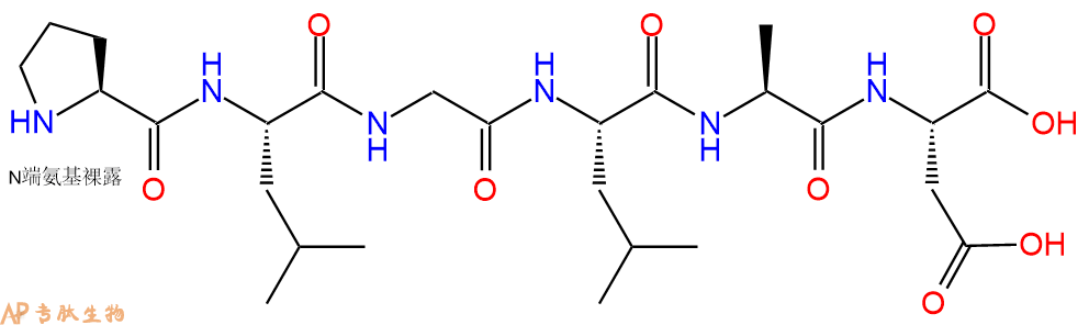 专肽生物产品H2N-Pro-Leu-Gly-Leu-Ala-Asp-OH