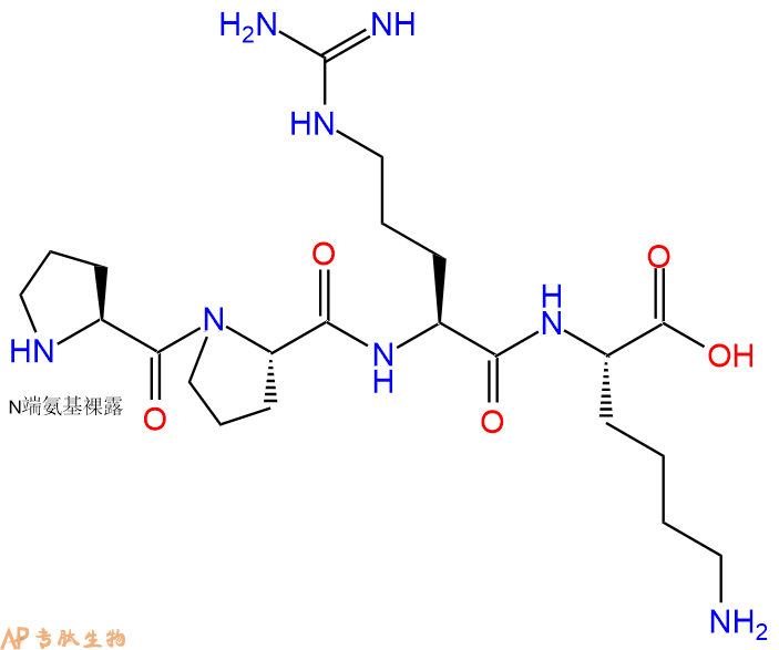 专肽生物产品H2N-Pro-Pro-Arg-Lys-OH
