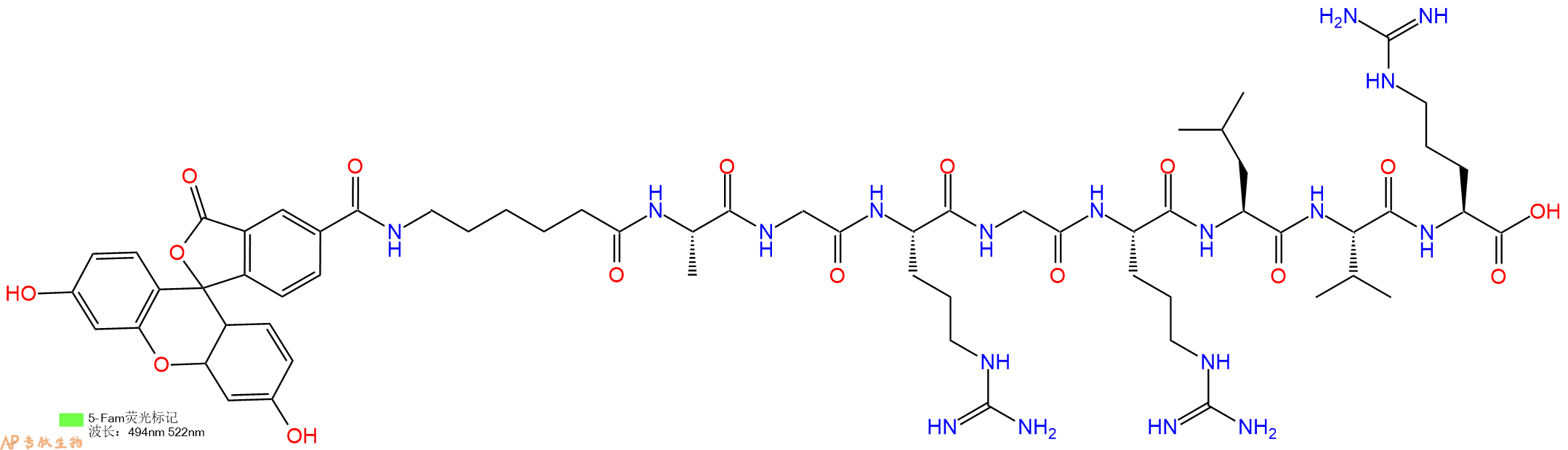 专肽生物产品5FAM-Ahx-Ala-Gly-Arg-Gly-Arg-Leu-Val-Arg-OH