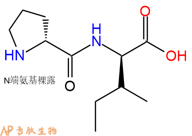 专肽生物产品H2N-DPro-DIle-OH