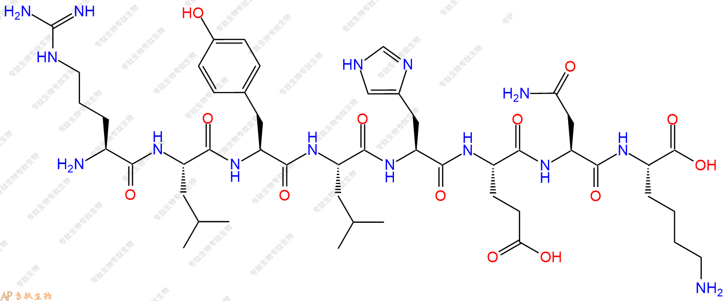 专肽生物产品H2N-Arg-Leu-Tyr-Leu-His-Glu-Asn-Lys-OH