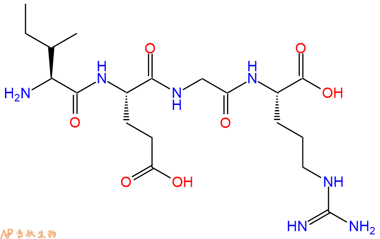 专肽生物产品H2N-Ile-Glu-Gly-Arg-OH