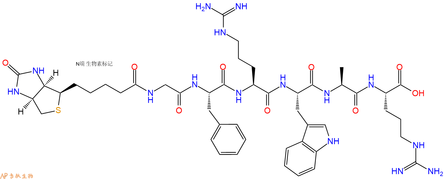 专肽生物产品Biotinyl-Gly-Phe-Arg-Trp-Ala-Arg-OH