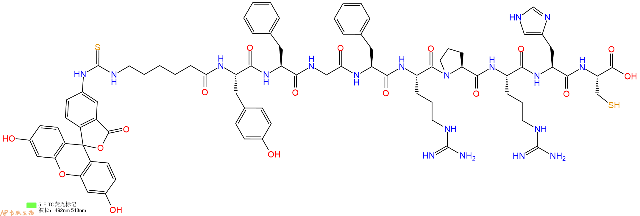 专肽生物产品5FITC-Ahx-Tyr-Phe-Gly-Phe-Arg-Pro-Arg-His-Cys-OH