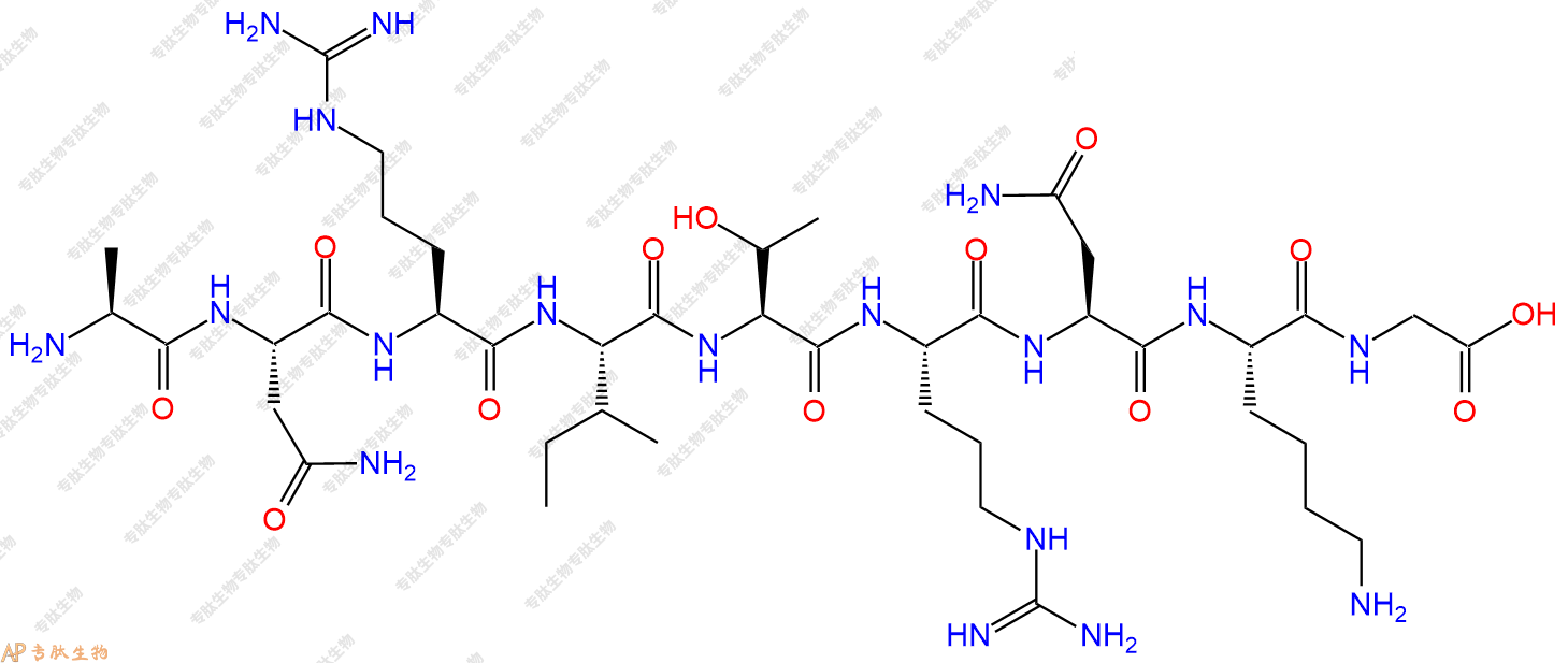 专肽生物产品H2N-Ala-Asn-Arg-Ile-Thr-Arg-Asn-Lys-Gly-OH