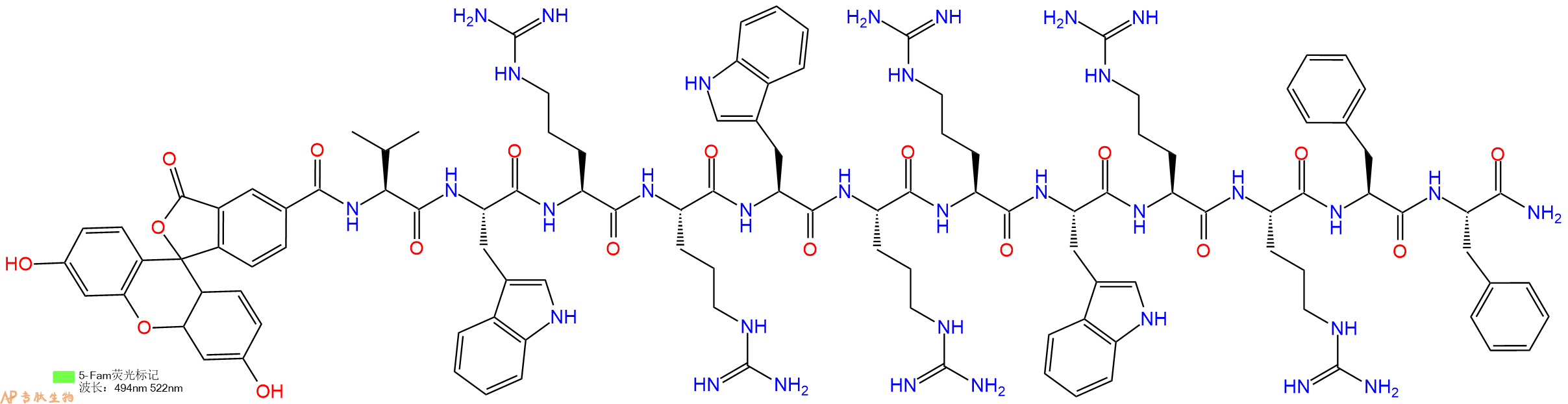 专肽生物产品5FAM-Val-Trp-Arg-Arg-Trp-Arg-Arg-Trp-Arg-Arg-Phe-Phe-NH2