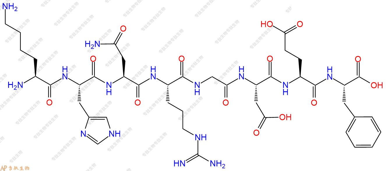 专肽生物产品H2N-Lys-His-Asn-Arg-Gly-Asp-Glu-Phe-OH