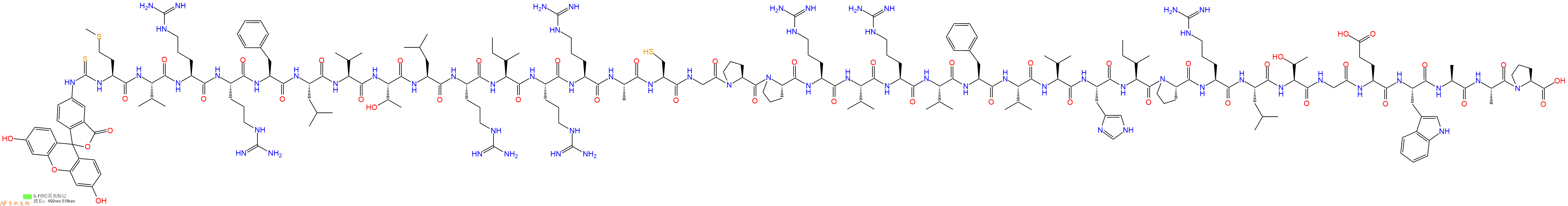 专肽生物产品5FITC-Met-Val-Arg-Arg-Phe-Leu-Val-Thr-Leu-Arg-Ile-Arg-Arg-Ala-Cys-Gly-Pro-Pro-Arg-Val-Arg-Val-Phe-Val-Val-His-Ile-Pro-Arg-Leu-Thr-Gly-Glu-Trp-Ala-Ala-Pro-OH