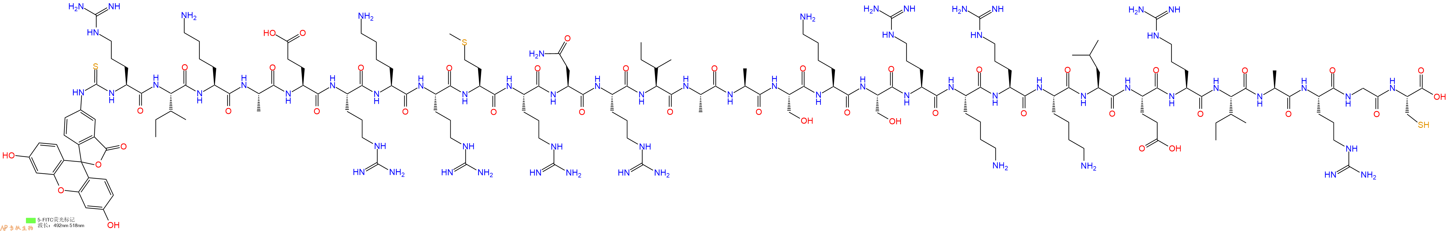 专肽生物产品5FITC-Arg-Ile-Lys-Ala-Glu-Arg-Lys-Arg-Met-Arg-Asn-Arg-Ile-Ala-Ala-Ser-Lys-Ser-Arg-Lys-Arg-Lys-Leu-Glu-Arg-Ile-Ala-Arg-Gly-Cys-OH