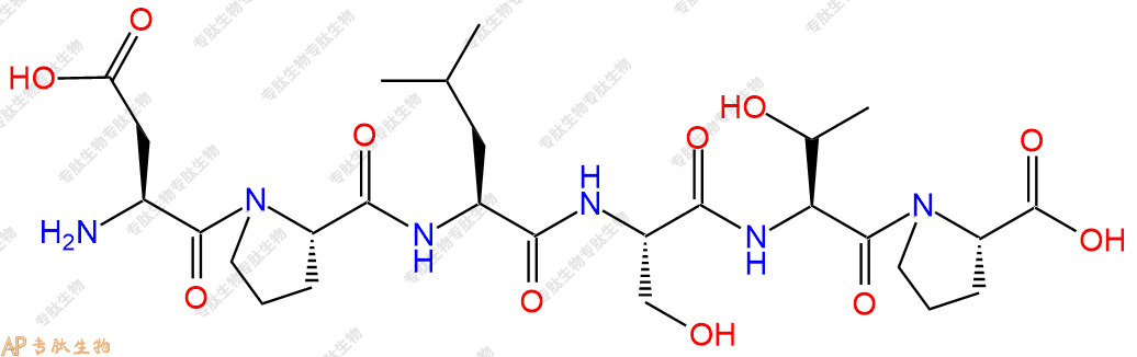 专肽生物产品H2N-Asp-Pro-Leu-Ser-Thr-Pro-OH