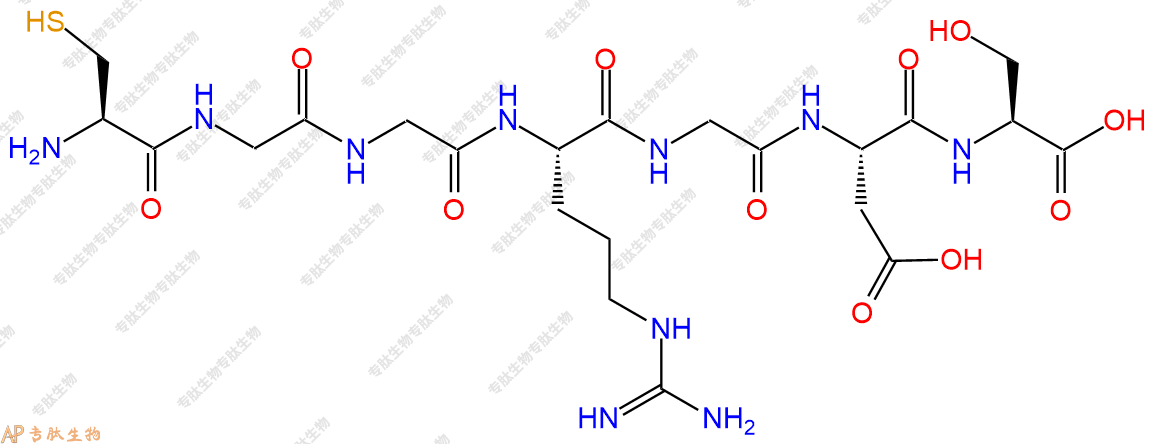 专肽生物产品H2N-Cys-Gly-Gly-Arg-Gly-Asp-Ser-OH