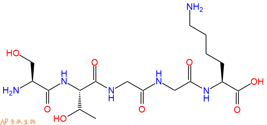 专肽生物产品H2N-Ser-Thr-Gly-Gly-Lys-OH