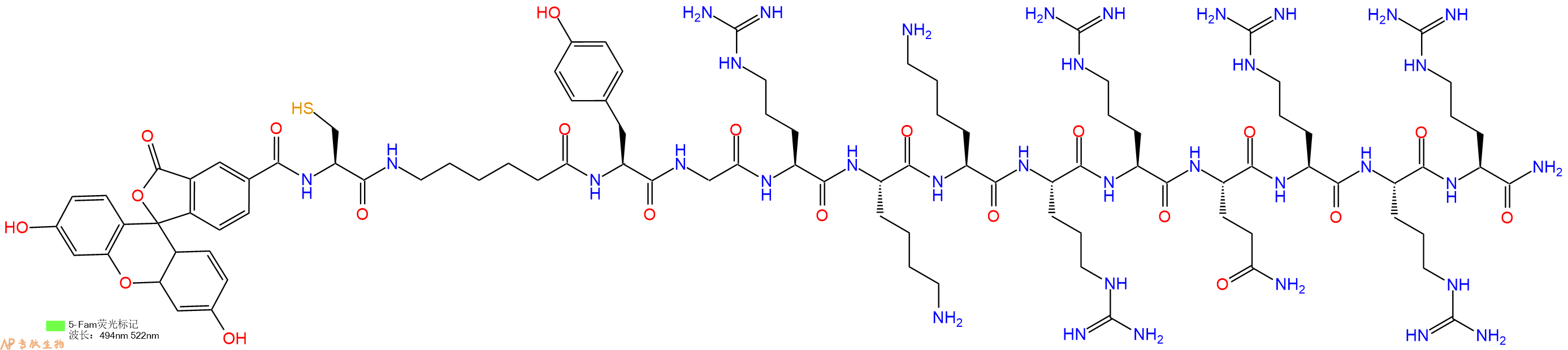 专肽生物产品5FAM-Cys-Ahx-Tyr-Gly-Arg-Lys-Lys-Arg-Arg-Gln-Arg-Arg-Arg-NH2