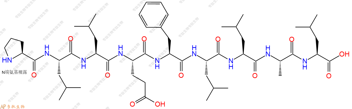 专肽生物产品H2N-Pro-Leu-Leu-Glu-Phe-Leu-Leu-Ala-Leu-OH