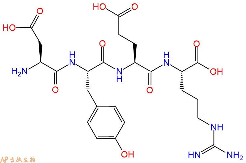 专肽生物产品H2N-Asp-Tyr-Glu-Arg-OH