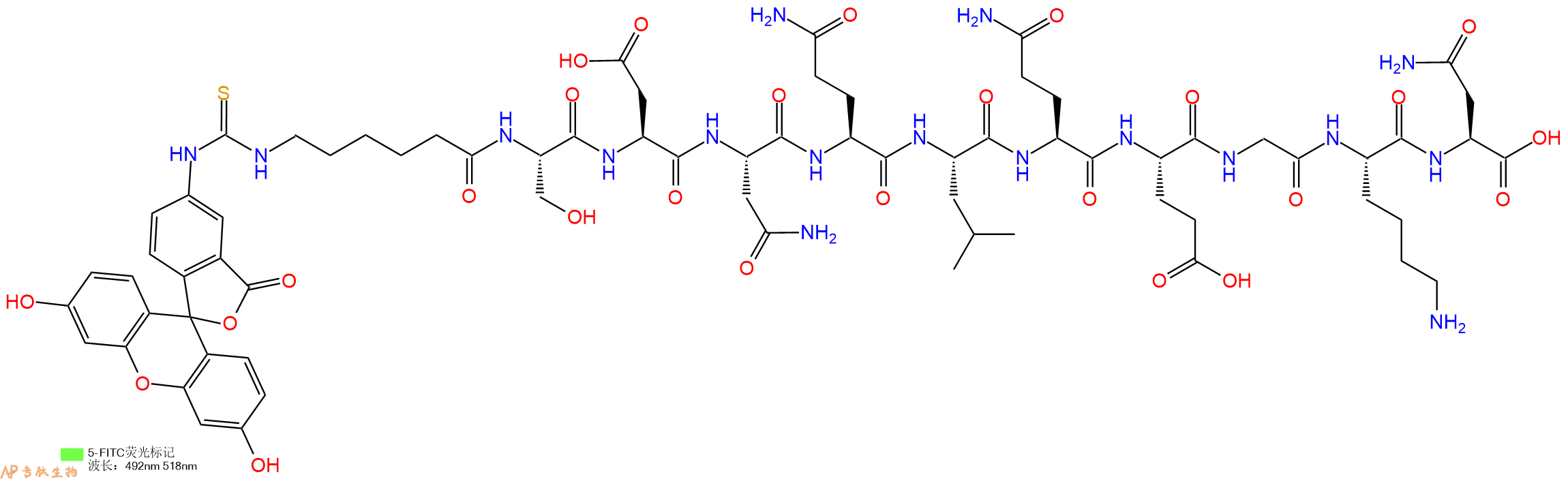 专肽生物产品5FITC-Ahx-Ser-Asp-Asn-Gln-Leu-Gln-Glu-Gly-Lys-Asn-OH