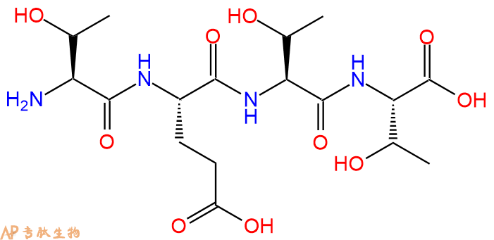 专肽生物产品H2N-Thr-Glu-Thr-Thr-OH