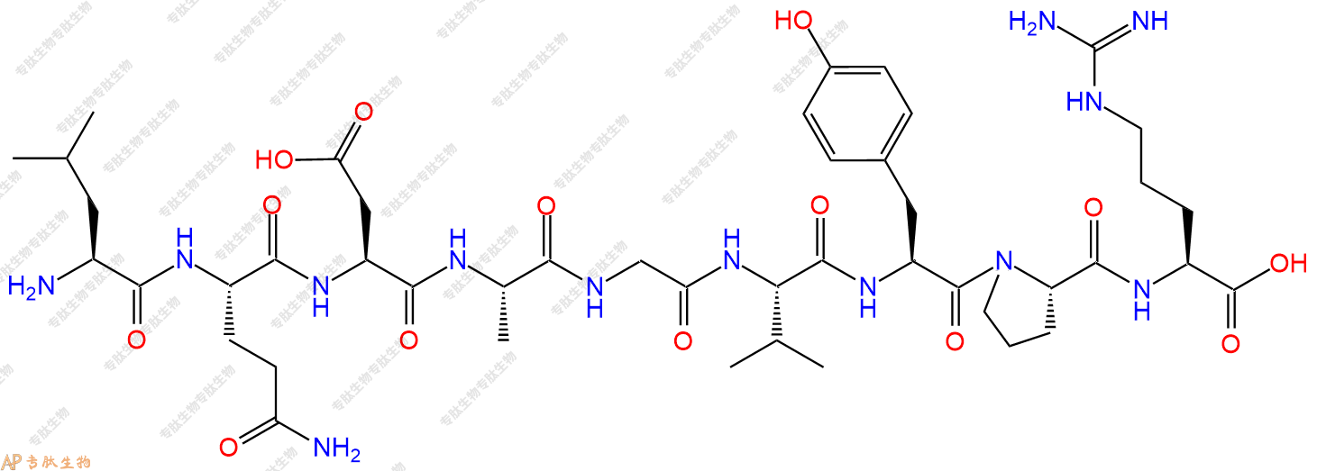 专肽生物产品H2N-Leu-Gln-Asp-Ala-Gly-Val-Tyr-Pro-Arg-OH