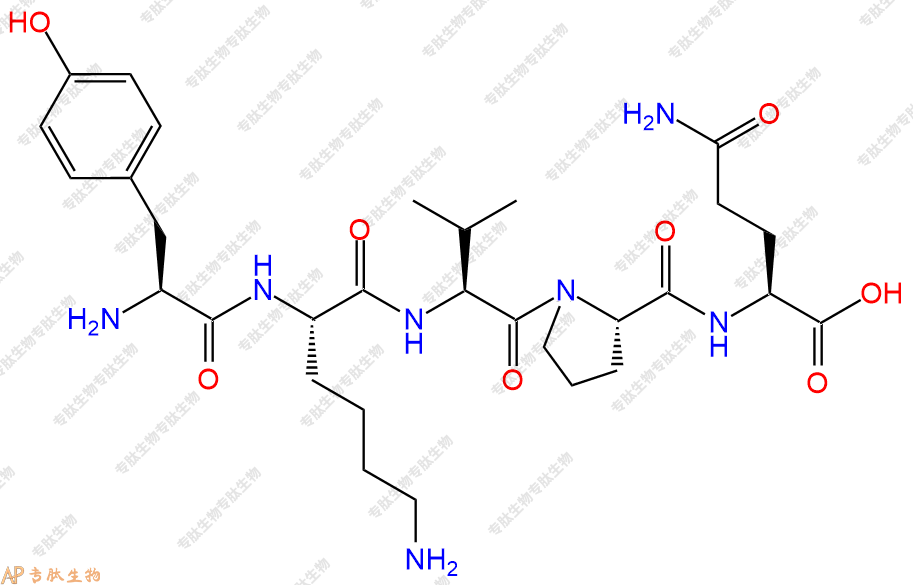 专肽生物产品H2N-Tyr-Lys-Val-Pro-Gln-OH