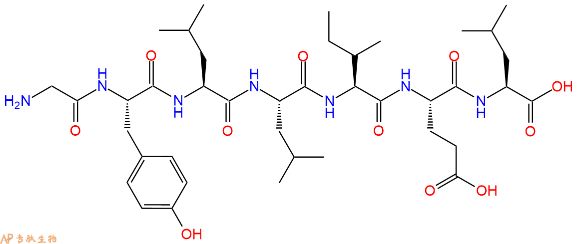 专肽生物产品H2N-Gly-Tyr-Leu-Leu-Ile-Glu-Leu-OH