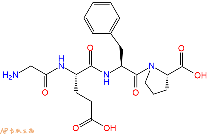 专肽生物产品H2N-Gly-Glu-Phe-Pro-OH