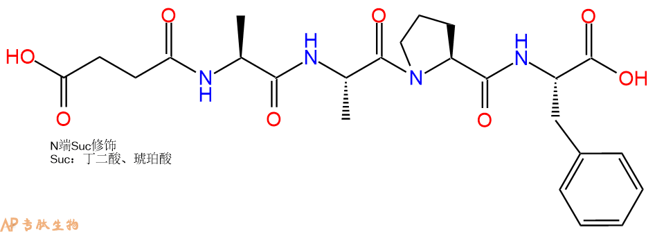 专肽生物产品Suc-Ala-Ala-Pro-Phe-OH