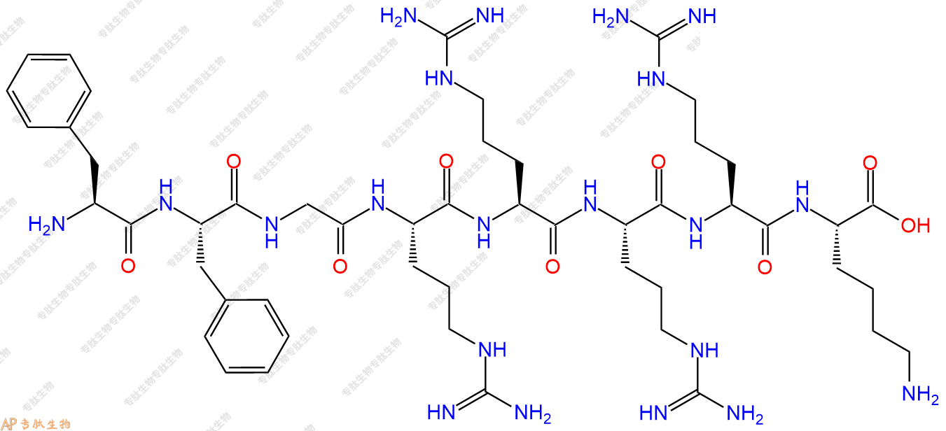 专肽生物产品H2N-Phe-Phe-Gly-Arg-Arg-Arg-Arg-Lys-OH