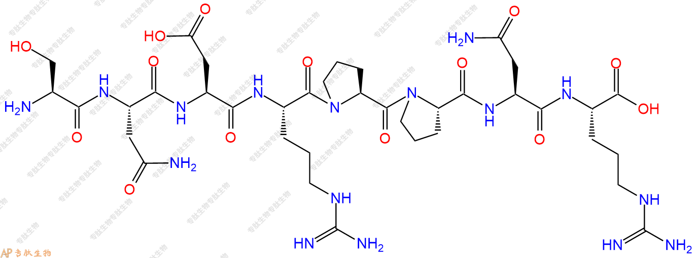 专肽生物产品H2N-Ser-Asn-Asp-Arg-Pro-Pro-Asn-Arg-OH