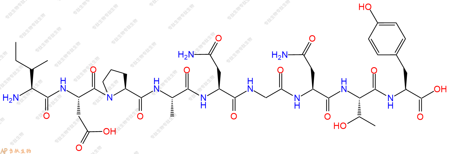 专肽生物产品H2N-Ile-Asp-Pro-Ala-Asn-Gly-Asn-Thr-Tyr-OH