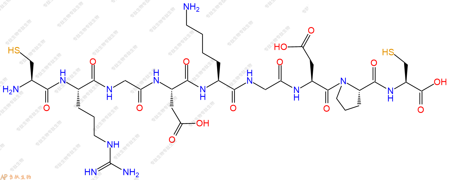 专肽生物产品H2N-Cys-Arg-Gly-Asp-Lys-Gly-Asp-Pro-Cys-OH