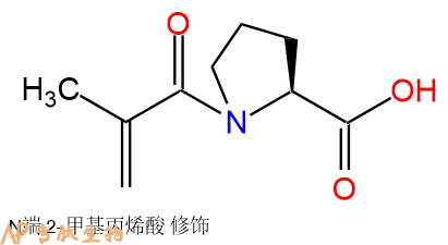 专肽生物产品Meth-Pro-OH