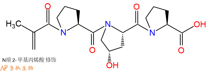 专肽生物产品Meth-Pro-Hyp-Pro-OH