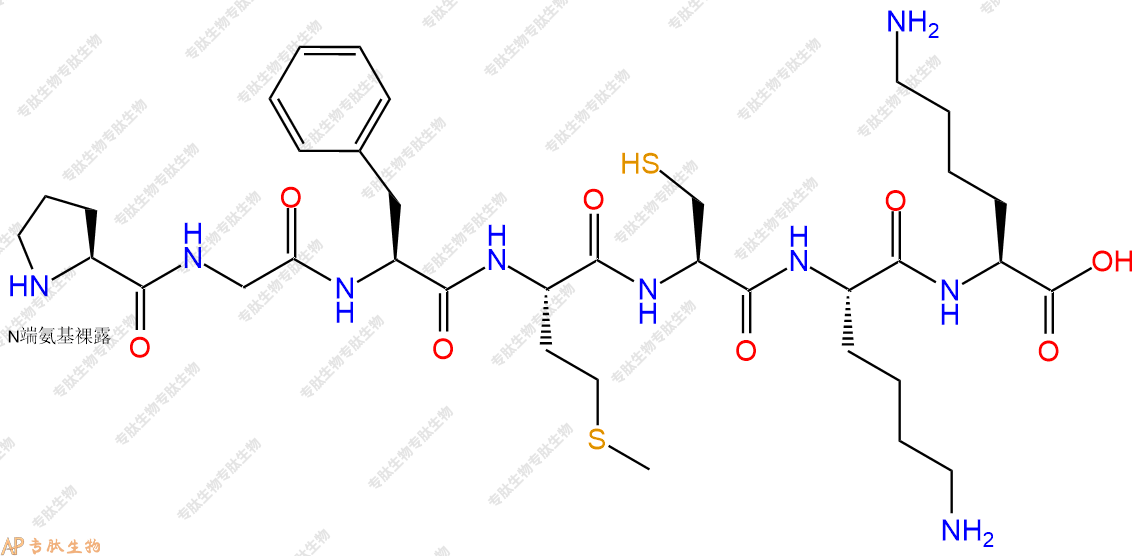 专肽生物产品H2N-Pro-Gly-Phe-Met-Cys-Lys-Lys-OH