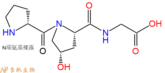 专肽生物产品H2N-DPro-Hyp-Gly-OH