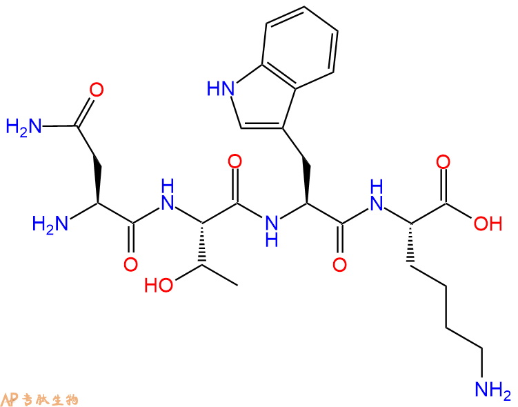 专肽生物产品H2N-Asn-Thr-Trp-Lys-OH
