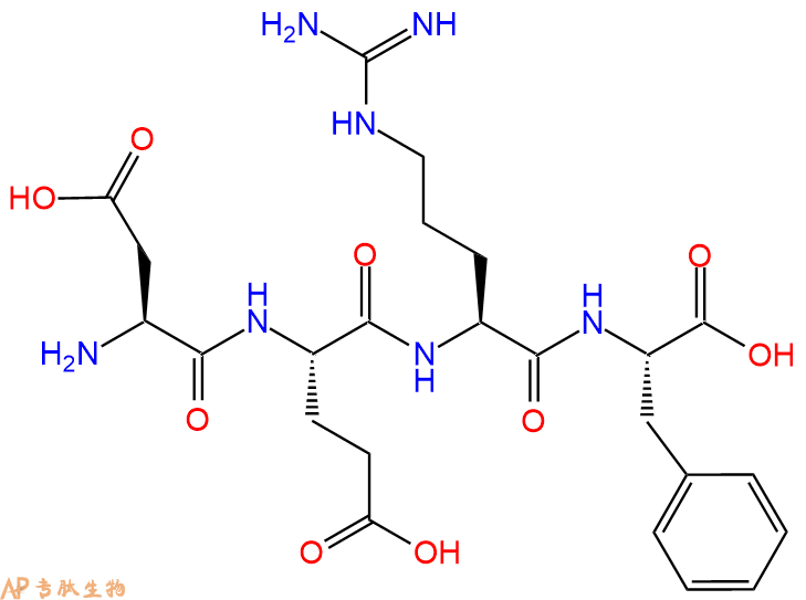 专肽生物产品H2N-Asp-Glu-Arg-Phe-OH