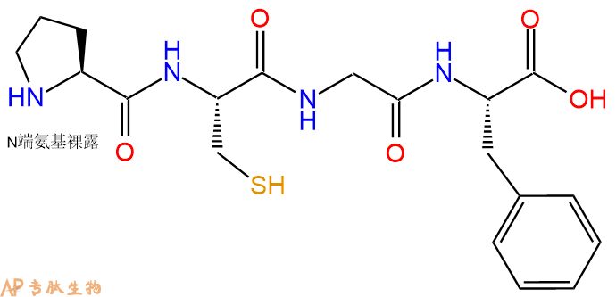 专肽生物产品H2N-Pro-Cys-Gly-Phe-OH