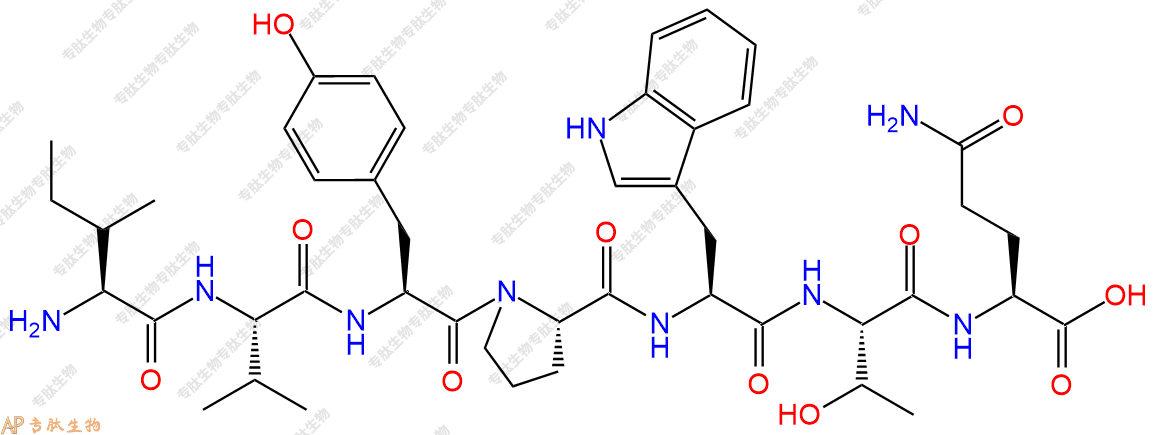 专肽生物产品H2N-Ile-Val-Tyr-Pro-Trp-Thr-Gln-OH