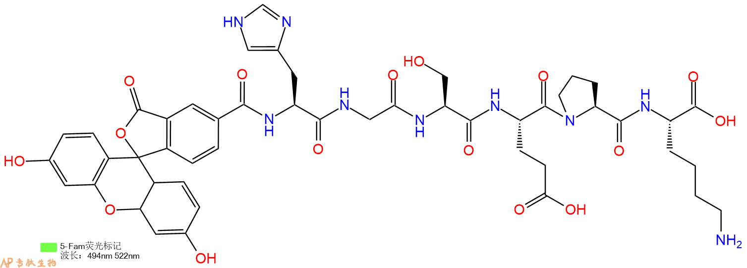 专肽生物产品5FAM-His-Gly-Ser-Glu-Pro-Lys-OH