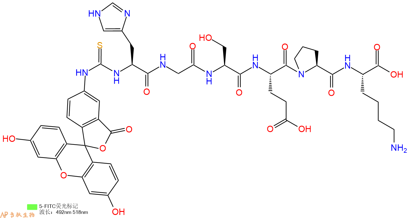 专肽生物产品5FITC-His-Gly-Ser-Glu-Pro-Lys-OH