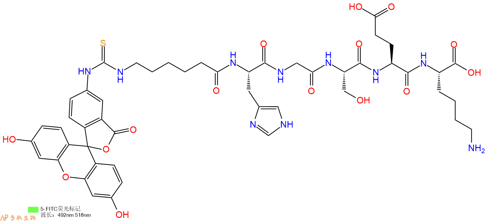 专肽生物产品5FITC-Ahx-His-Gly-Ser-Glu-Lys-OH