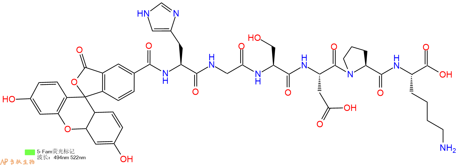 专肽生物产品5FAM-His-Gly-Ser-Asp-Pro-Lys-OH