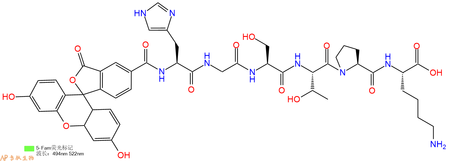 专肽生物产品5FAM-His-Gly-Ser-Thr-Pro-Lys-OH